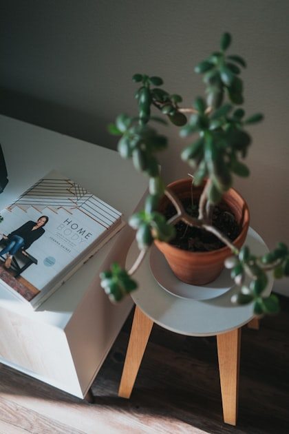 10 Cozy Home Decor Ideas
